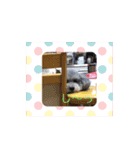 トイプードルのふうちゃんスタンプPart3（個別スタンプ：9）