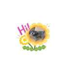 トイプードルのふうちゃんスタンプPart3（個別スタンプ：12）