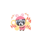トイプードルのふうちゃんスタンプPart3（個別スタンプ：16）