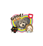 トイプードルのふうちゃんスタンプPart3（個別スタンプ：20）