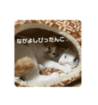 ぽてばに part3（個別スタンプ：3）