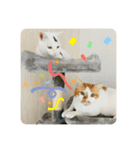 ぽてばに part3（個別スタンプ：4）
