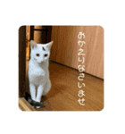 ぽてばに part3（個別スタンプ：10）