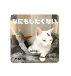 ぽてばに part3（個別スタンプ：11）