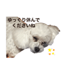 はなろんスタンプ3（個別スタンプ：5）