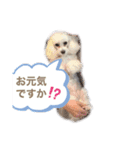 はなろんスタンプ3（個別スタンプ：6）