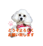 はなろんスタンプ3（個別スタンプ：7）