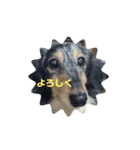 マーブル君のマイLINEスタンプ（個別スタンプ：4）