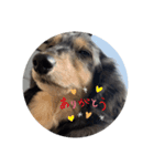 マーブル君のマイLINEスタンプ（個別スタンプ：9）