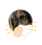 マーブル君のマイLINEスタンプ（個別スタンプ：14）