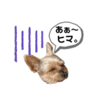 ウチの殿君2（個別スタンプ：13）