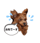 ここたのスタンプ2（個別スタンプ：11）