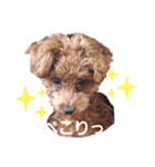 ここたのスタンプ2（個別スタンプ：17）