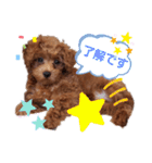 ここたのスタンプ2（個別スタンプ：23）
