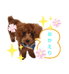ここたのスタンプ2（個別スタンプ：31）