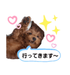 ここたのスタンプ2（個別スタンプ：32）