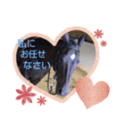 クオーターホースエリーのツブヤキ！（個別スタンプ：8）