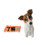 マーブルの毎日（個別スタンプ：1）