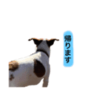 マーブルの毎日（個別スタンプ：2）