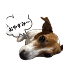 マーブルの毎日（個別スタンプ：5）