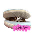 マーブルの毎日（個別スタンプ：8）