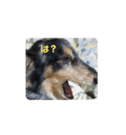 マーブルくんLINEスタンプ（個別スタンプ：6）