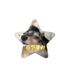 マーブルくんLINEスタンプ（個別スタンプ：8）