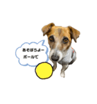 まぁーちゃんのうちの子日常スタンプ（個別スタンプ：3）