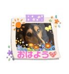 れおちょこ（個別スタンプ：1）