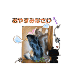 れおちょこ（個別スタンプ：3）