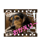 れおちょこ（個別スタンプ：7）