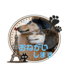 れおちょこ（個別スタンプ：12）