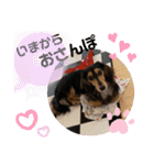 れおちょこ（個別スタンプ：14）