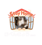 れおちょこ（個別スタンプ：16）