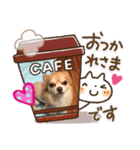沖縄わんこ（個別スタンプ：1）