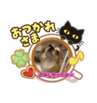 沖縄わんこ（個別スタンプ：8）