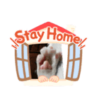 猫だょ（個別スタンプ：3）