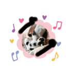 猫だょ（個別スタンプ：4）