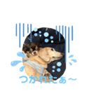 村中家の犬2（個別スタンプ：4）