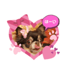 村中家の犬2（個別スタンプ：5）