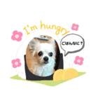 村中家の犬2（個別スタンプ：8）