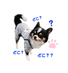 まこたろぱるの1日（個別スタンプ：3）