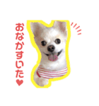 まこたろぱるの1日（個別スタンプ：4）