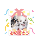 まこたろぱるの1日（個別スタンプ：5）