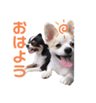 まこたろぱるの1日（個別スタンプ：11）