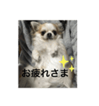 さぶこたスタンプ！（個別スタンプ：5）