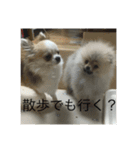 さぶこたスタンプ！（個別スタンプ：12）