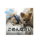 さぶこたスタンプ！（個別スタンプ：13）