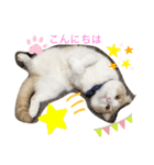なっちゃんスタンプ02（個別スタンプ：3）