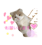 なっちゃんスタンプ02（個別スタンプ：4）